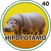 Hipopotamo